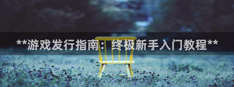 顺盈娱乐平台注册流程视频教程：**游戏发行指南：终极新手入门教程**