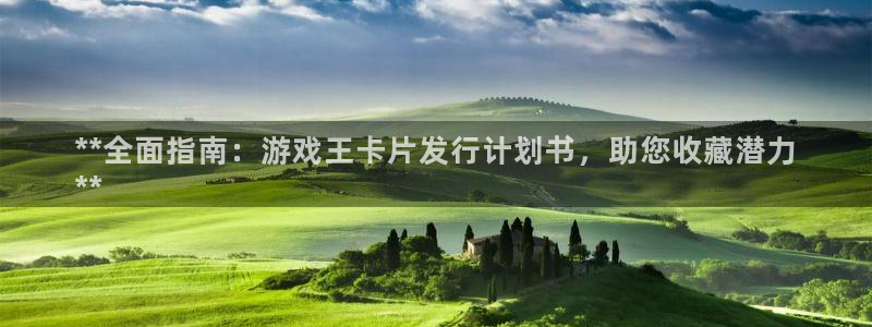 顺盈电子有限公司：**全面指南：游戏王卡片发行计划书，助您收藏潜力
**