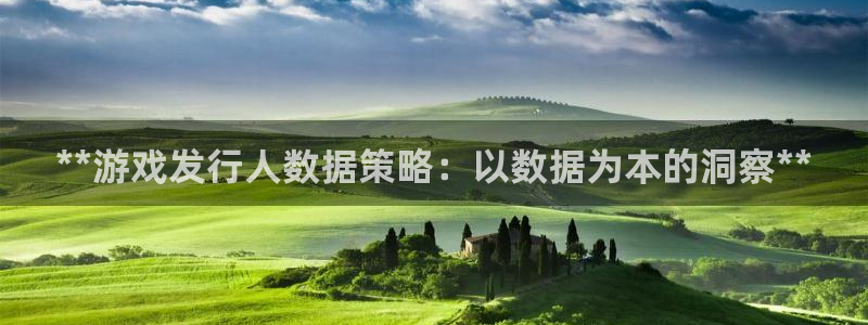 顺盈娱乐慌 692687：**游戏发行人数据策略：以数据为本的洞察**