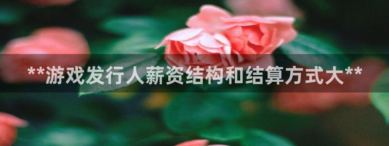 顺盈娱乐平台注册流程图片下载：**游戏发行人薪资结构和结算方式大**