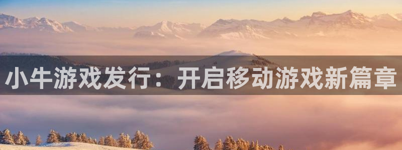顺盈app：小牛游戏发行：开启移动游戏新篇章