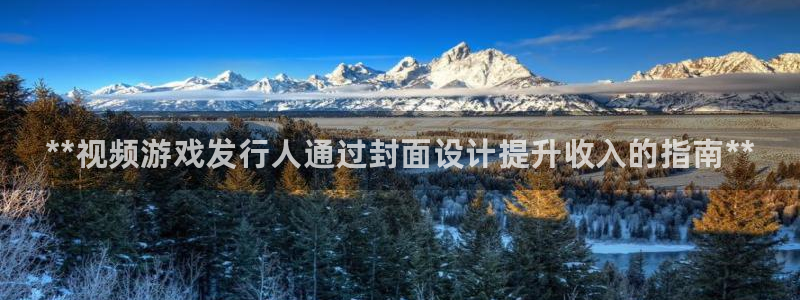 顺盈娱乐官网首页入口下载：**视频游戏发行人通过封面设计提升收入的指南**
