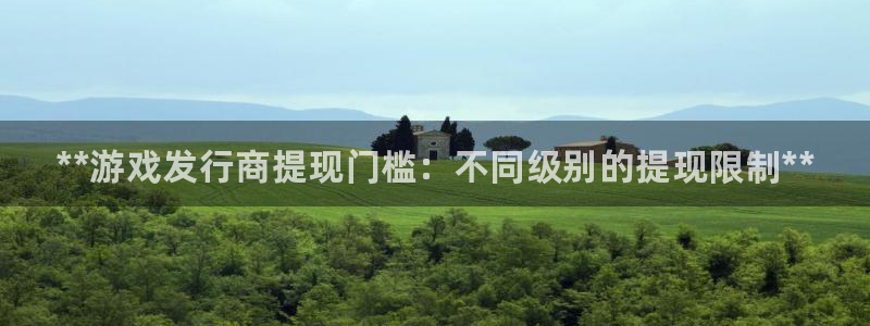 顺赢电子官网