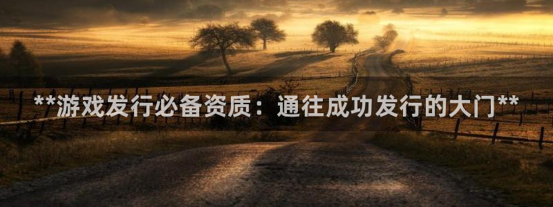 顺盈娱乐公司介绍怎么写啊：**游戏发行必备资质：通往成功发行的大门**