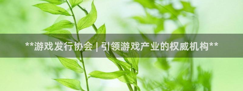 顺盈平台注册开户：**游戏发行协会 | 引领游戏产业的权威机构**