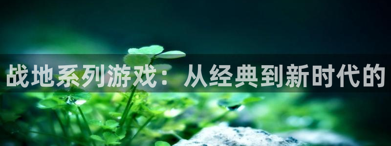 顺盈娱乐的员工待遇怎么样啊