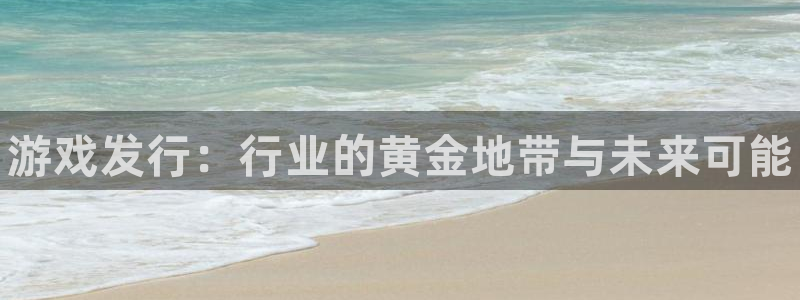 顺盈娱乐登录平台下载官网手机版：游戏发行：行业的黄金地带与未来可能