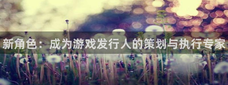 顺盈娱乐登录平台下载：新角色：成为游戏发行人的策划与执行专家