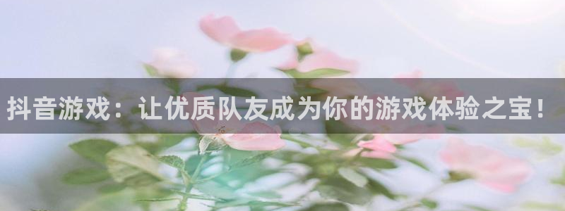 顺赢大师app：抖音游戏：让优质队友成为你的游戏体验之宝！