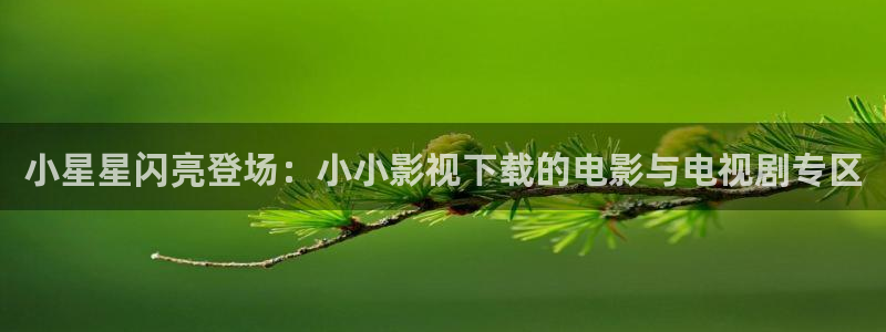 亚洲视频伊人久久：小星星闪亮登场：小小影视下载的电影与电视剧专区