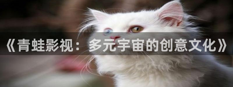 伊人影院78：《青蛙影视：多元宇宙的创意文化》