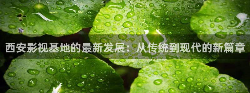 久草伊人电影