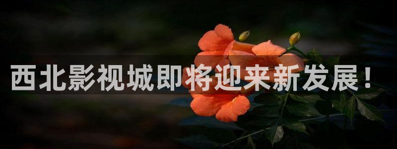 伊人久久亚洲综合影院：西北影视城即将迎来新发展！
